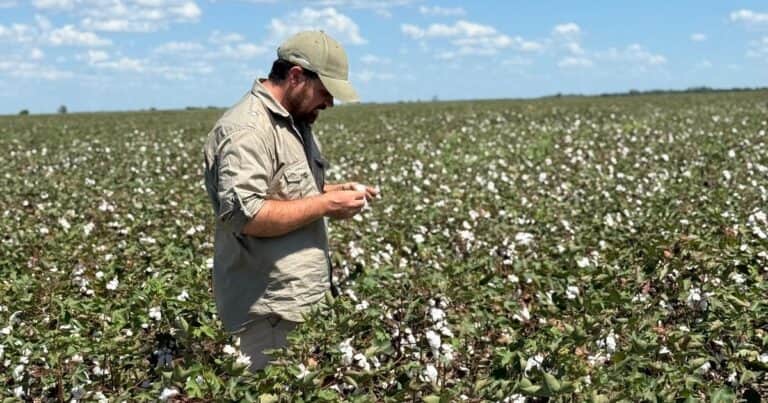 El joven que impulsa la producción de un cultivo regional