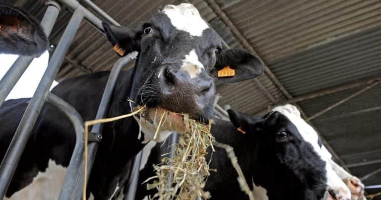 Empeora la situación de las economías regionales: la mayoría de las actividades están en crisis