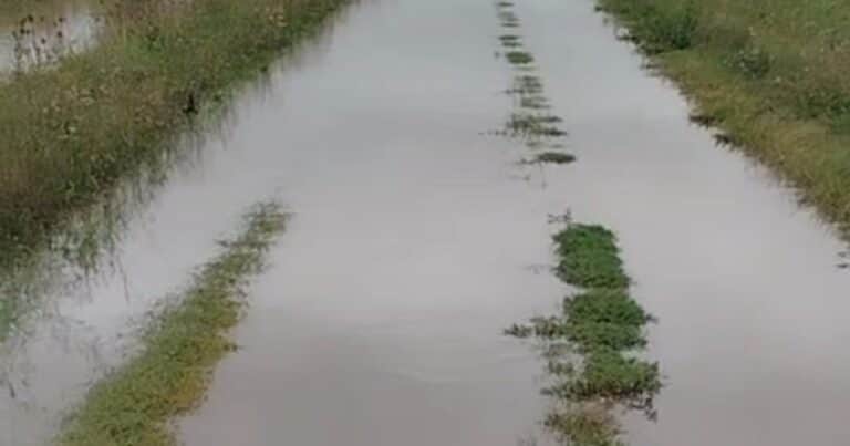 En plena cosecha, las lluvias comienzan a complicar zonas de Santa Fe y Buenos Aires