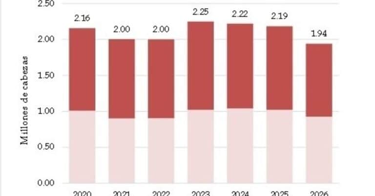 Producción ganadera y precios de la carne: ¿en busca de un nuevo equilibrio?