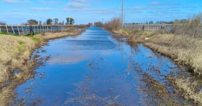 Fallo histórico: productores lograron que un juez dictaminara la tasa vial nula por la falta de contraprestación por parte del municipio
