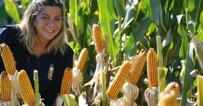 La empresa semillera que invita a soñar con la cuarta estrella