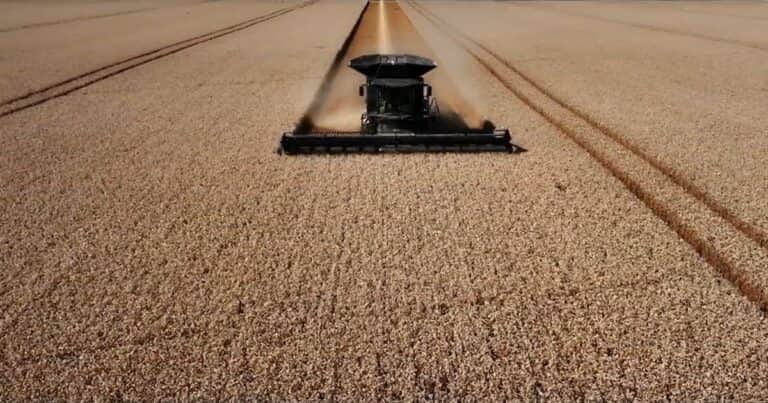 Conflicto bélico y bioeconomía: nueva oportunidad para Argentina