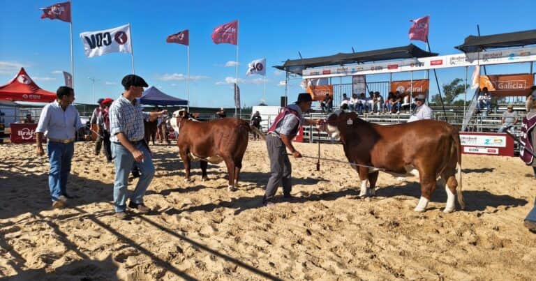 El buen momento ganadero tuvo un reflejo fiel en Expoagro