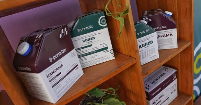 Qué hace la única empresa argentina elegida como la más innovadora de la región en 2026