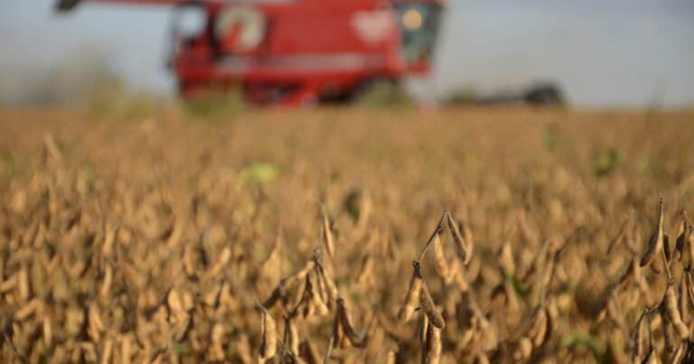 Subió la presión impositiva al campo y el Estado se queda con casi dos tercios de la renta del productor
