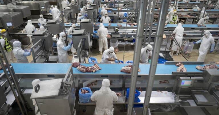 Creció más del 30% el ingreso de dólares en el primer bimestre del año por las exportaciones de carne vacuna
