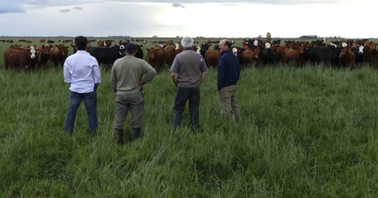 Cómo profesionalizar el «alma» de la empresa agropecuaria
