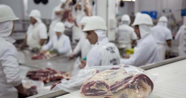 Carne vacuna: una producción mundial que corre de atrás al incremento de la demanda