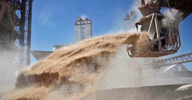 Las exportaciones agroindustriales se dispararon 31,4% en marzo y en el primer trimestre superaron los US$ 12.200 millones