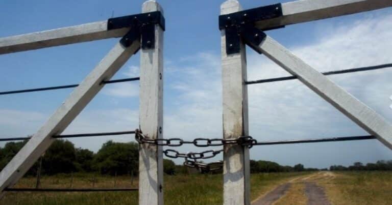 “La confianza es determinante”: se enfrió el interés por comprar campos en marzo debido a la “incertidumbre” política y económica