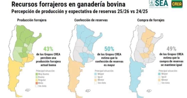 Los ganaderos encabezan el optmismo del campo de cara al futuro