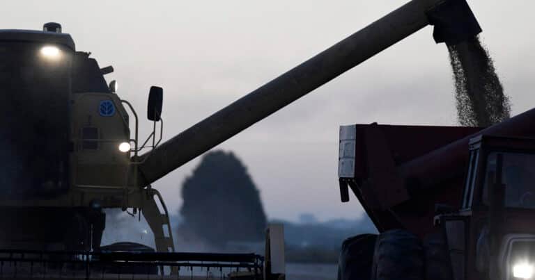 La guerra en Medio Oriente hizo caer 16% la confianza del productor argentino y frena inversiones en el sector