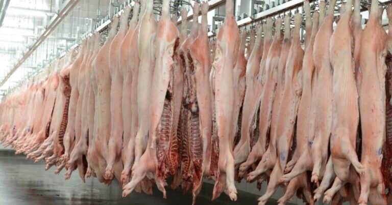 «Necesitamos equilibrar la cancha»: creció la importación de carne de cerdo desde Brasil en el primer trimestre del año
