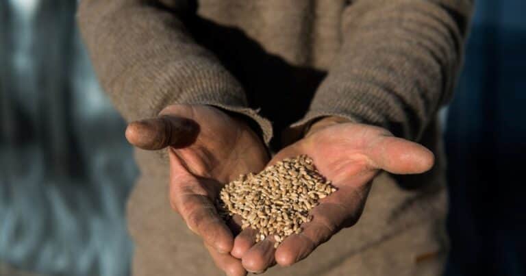 “La vida rural es una gran vida”: dejó el asfalto para producir y autoabastecerse en tierras tandilenses