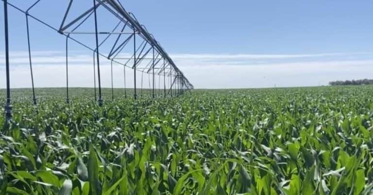 El Gobierno reglamentó el RIMI: cuál es el impacto en los sistemas de riego