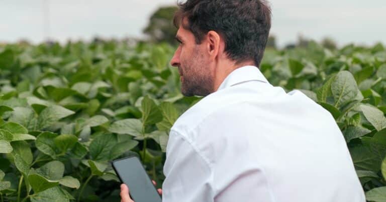 BASF mostró en San Jerónimo Sud su paquete tecnológico para potenciar la rentabilidad de los cultivos