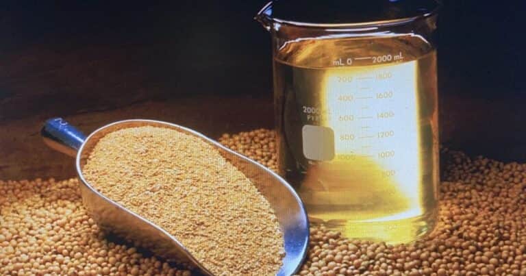 El aceite de soja vuela en Chicago: el precio subió más de un 50% en lo que va del año y alcanzó máximos desde noviembre de 2022