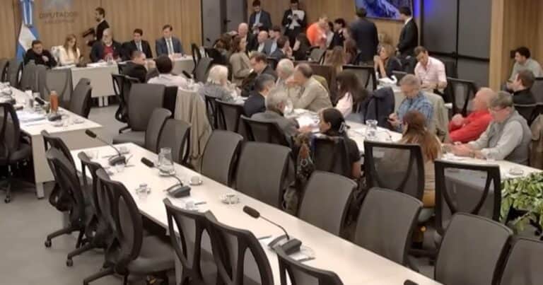 La cadena de la yerba estuvo en Diputados: productores reclamaron devolver facultades al INYM mientras que molineros defendieron la desregulación