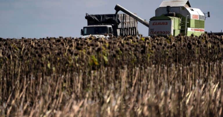 Lo único que funciona en Europa son las grandes unidades productivas intensivas en capital