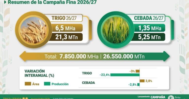 Tras una campaña extraordinaria de trigo, se espera una fuerte caída de más del 20% en la producción