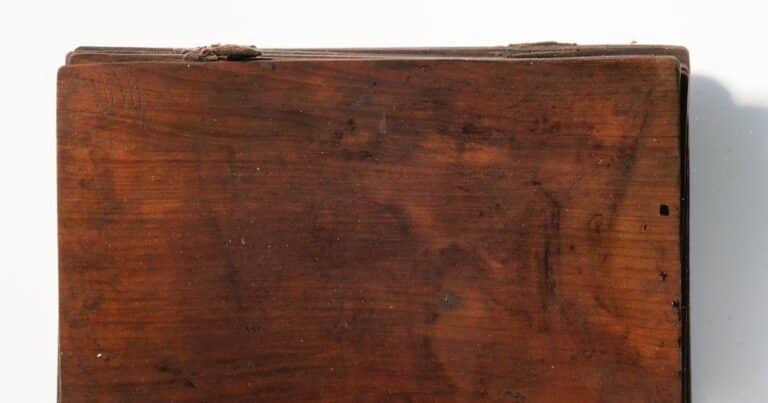 En una letrina medieval de Alemania, arqueólogos hallaron un cuaderno de cuero con texto en latín en un estado de conservación excepcional