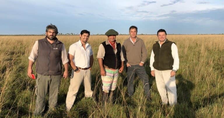 Una empresa ganadera correntina empezará a vender créditos por capturar carbono en los Esteros del Iberá