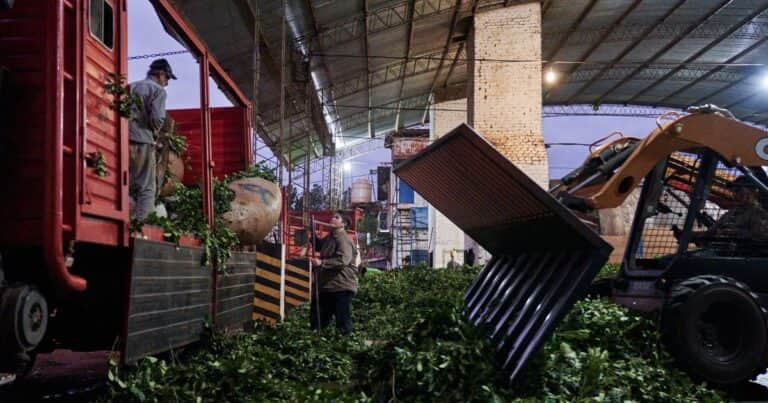 Un rayo de luz en medio del limbo