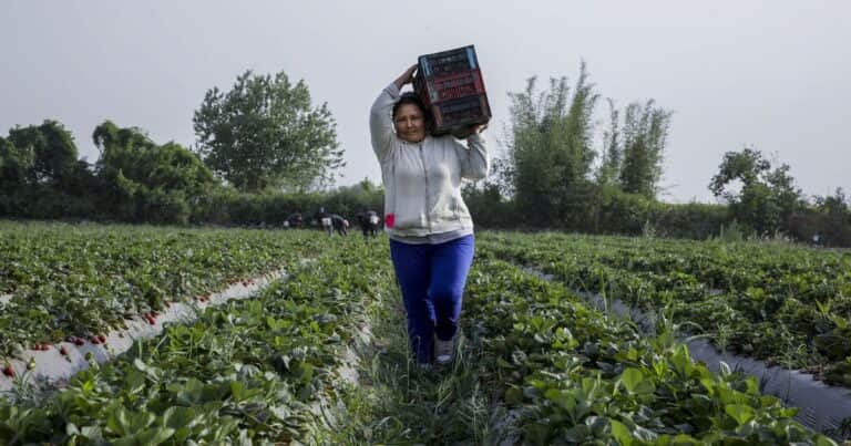 Aumentan 2% la prestación de desempleo para los trabajadores rurales