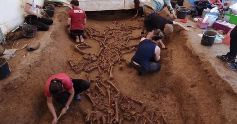 Hallan 78 esqueletos sin cráneo en un asentamiento neolítico de 7.000 años en Eslovaquia