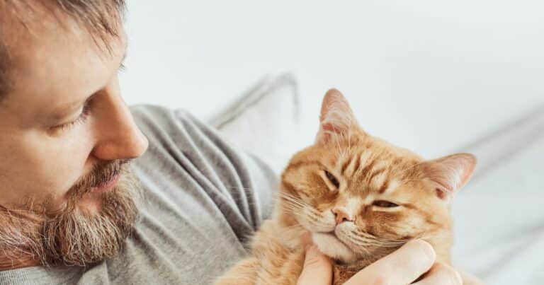 Tu gato podría parecerse más a vos de lo que imaginás: qué descubrieron los veterinarios