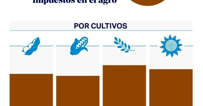 Estado recaudador: de cada $100 de renta agrícola, $61,9 se destinan al pago de impuestos