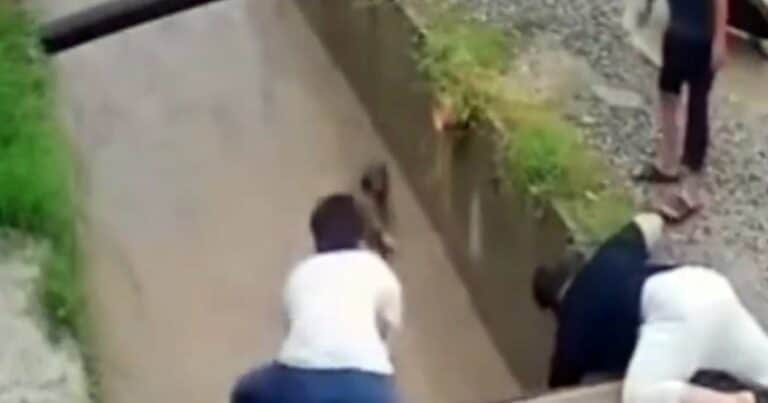 Una niña de 12 años se cayó a una zanja de drenaje y dos hombres la salvaron antes de que se la lleve la corriente: el video del milagro