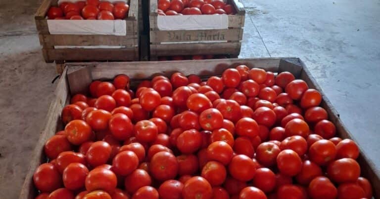 Renuevan una alianza estratégica para recuperar alimentos y reducir el impacto ambiental