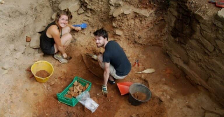 Con el ADN de semillas de uva de hace 2000 años reconstruyeron el origen del actual vino
