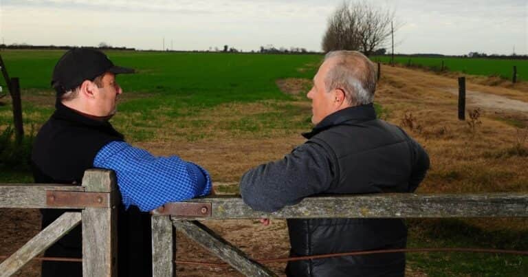Fuerte repunte en la actividad inmobiliaria rural