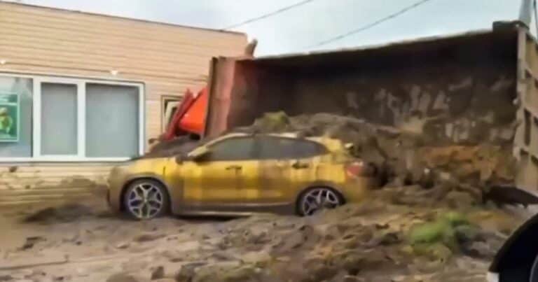 Un camión repleto de estiércol volcó todo su contenido sobre un BMW dorado