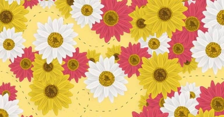 Desafío complicado: ¿dónde está la abeja zumbando entre las flores?
