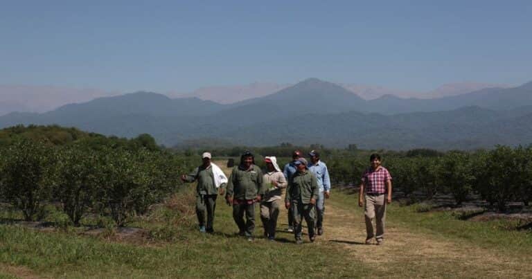 Aumentan la prestación por desempleo para trabajadores rurales: desde julio el monto máximo será de $395.000