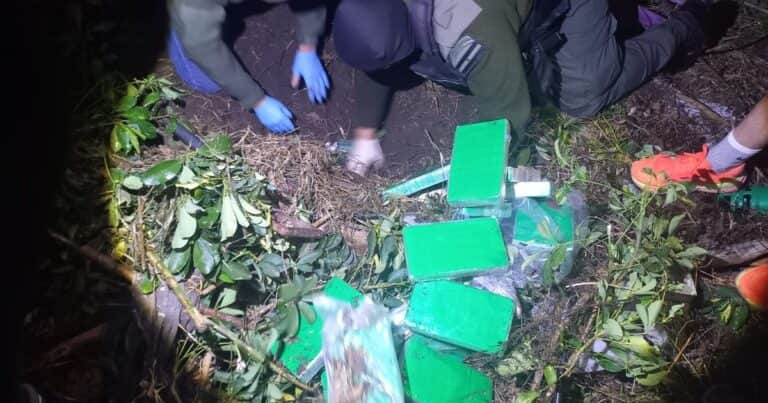 El agudo olfato de Gretel: la perra labradora que encontró la pista de 58 kilos de cocaína enterrados en un jardín