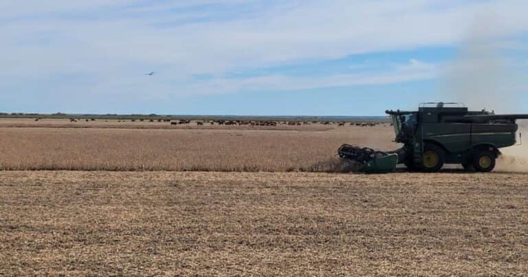 “1 de cada 5 pesos”: el agro sigue siendo el principal complejo económico del país, aunque cayó su participación en el PBI