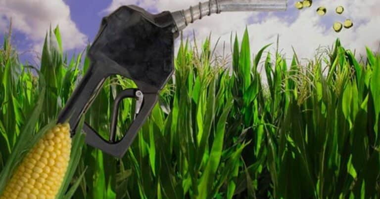 “La oportunidad es ahora”: fuerte respaldo al proyecto de ley de Biocombustibles de La Libertad Avanza