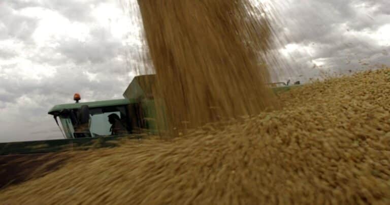 Mercados en tensión: récords de cosecha, clima y geopolítica vuelven a sacudir al agro mundial