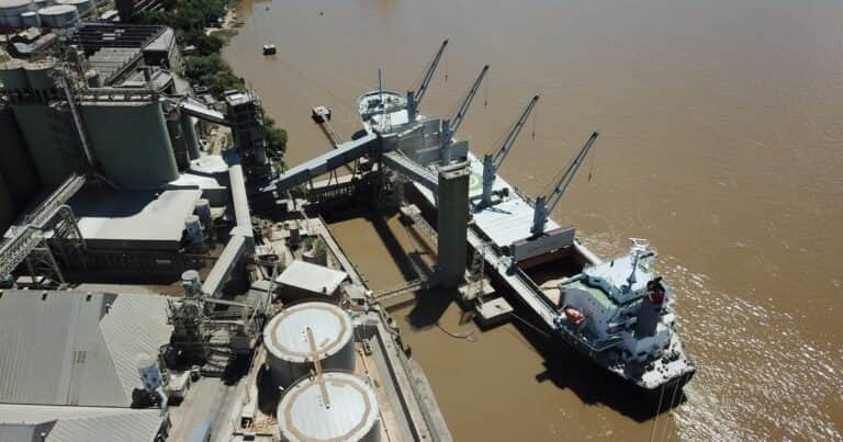 El campo aceleró la liquidación de divisas de la mano de la cosecha: ingresaron casi US$ 2.700 millones