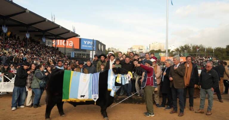 «Hubo mucha competencia y mucha calidad»: el toro “Rip” se quedó con el gran campeonato de machos de la raza Angus