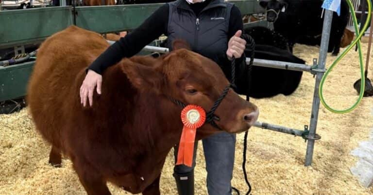 En 2025 armó una cabaña, este año compitió por primera vez en La Rural y sacó una Gran Campeona