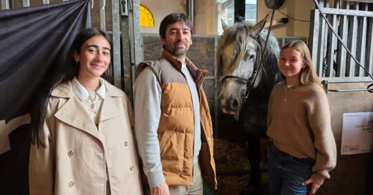 Malandra, el manso percherón que llegó a la Rural en familia para hacer honor a una de las razas más alta del mundo