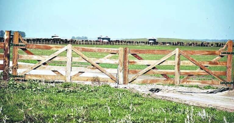 “Estamos saliendo de la muerte”: crece el interés por los campos ganaderos pero la demanda no convalida los precios