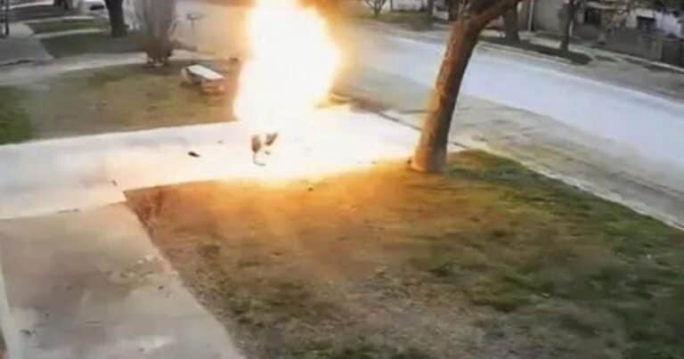 Murió tras quedar envuelto en llamas y la familia apunta contra su pareja: el video que será clave para determinar cómo se inició el fuego
