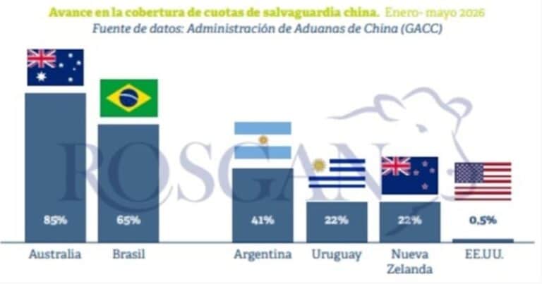 Argentina podría aprovechar una eventual mejora de los precios para exportar carne a China